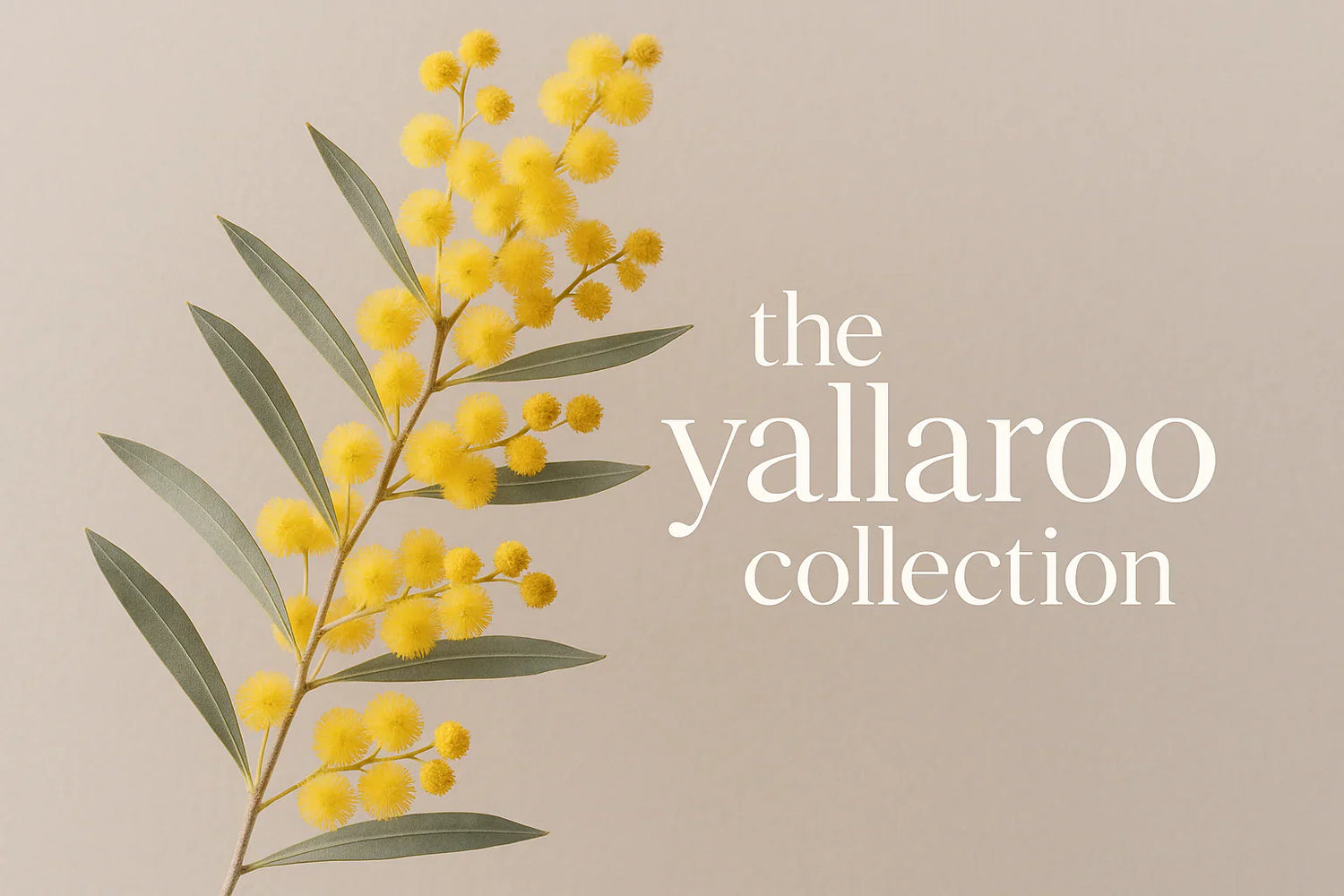 The Yallaroo Collection
